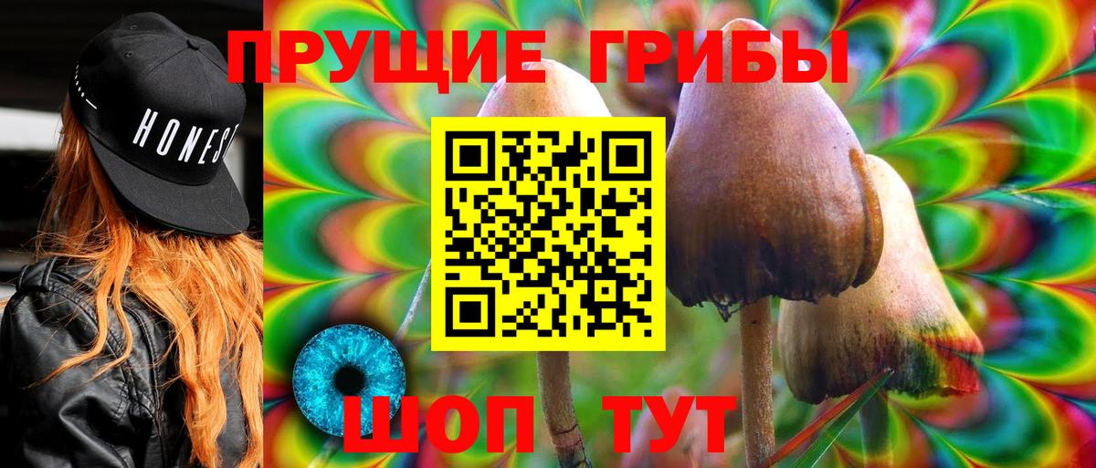 Псилоцибиновые грибы Cubensis  Вход с VPN  Люберцы 